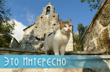 Это интересно